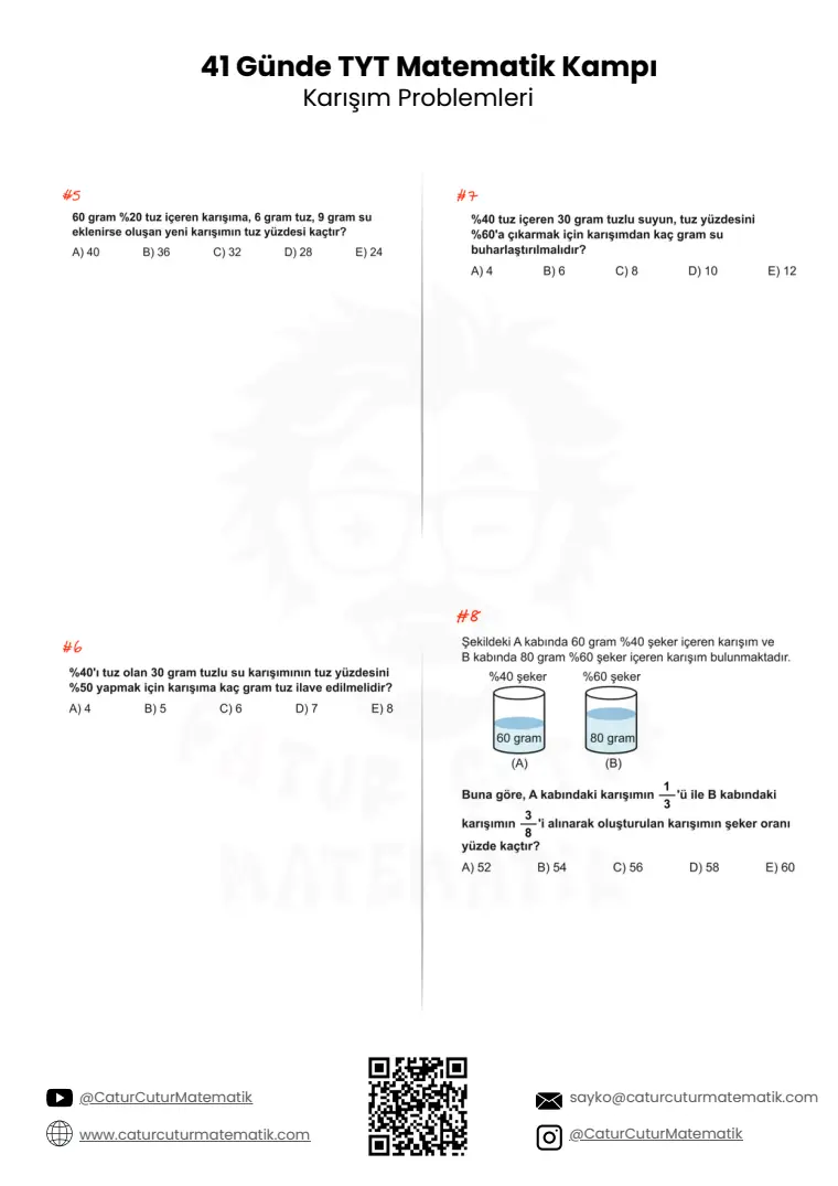 Karışım Problemleri PDF, sayfa 2 / 6