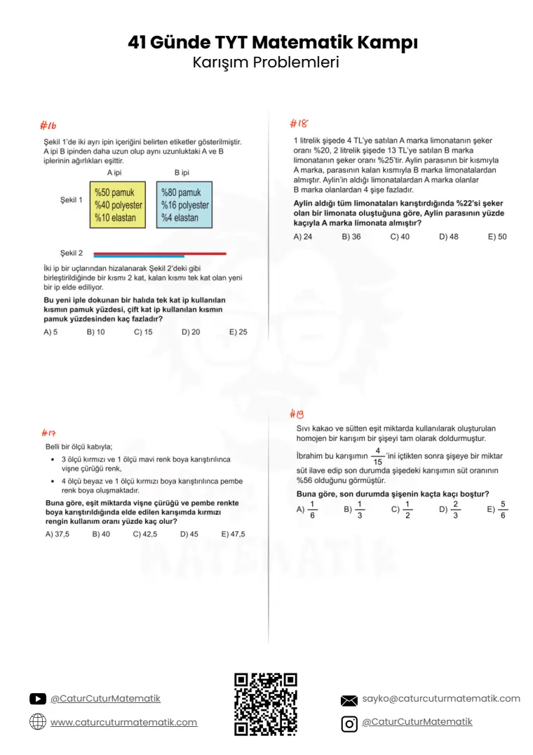 Karışım Problemleri PDF, sayfa 5 / 6