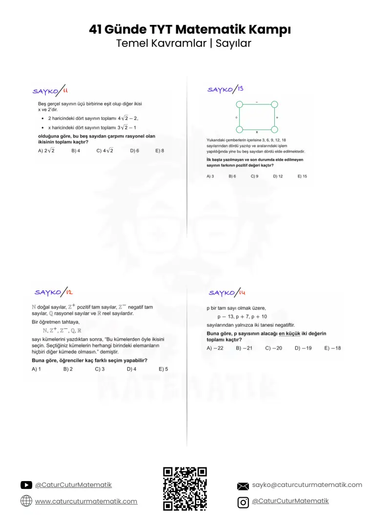 Sayılar PDF, sayfa 5 / 6